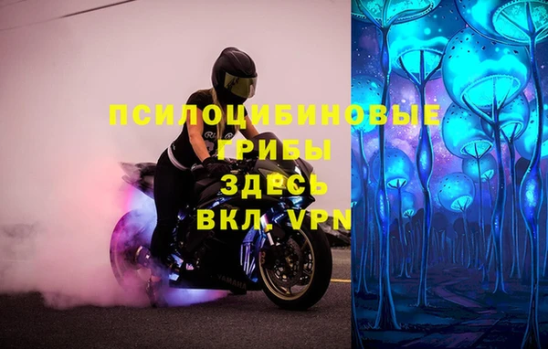 герыч Балахна